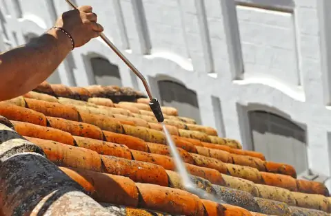 Démoussage de toiture à Bazas